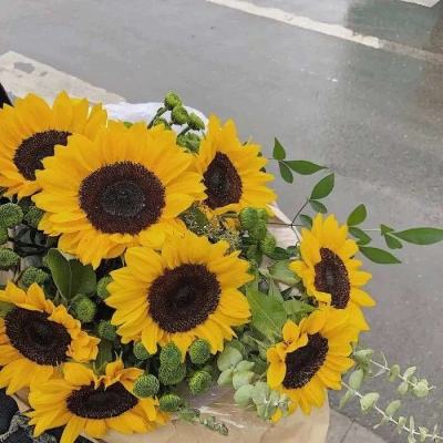 ob欧宝网页版入口