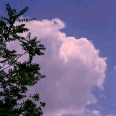 开元棋脾26888官方版最新版截图